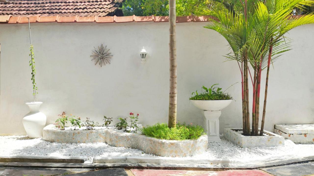 Boho Garden Guest House Mirissa Exteriér fotografie